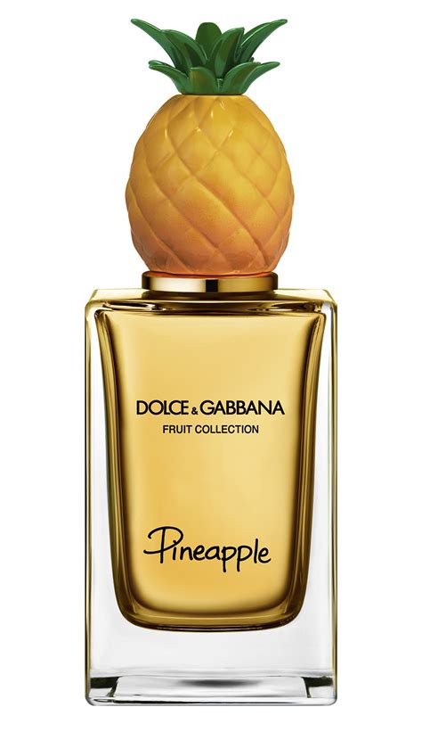 dolce and gabbana fragrances|dolce gabbana unisex.